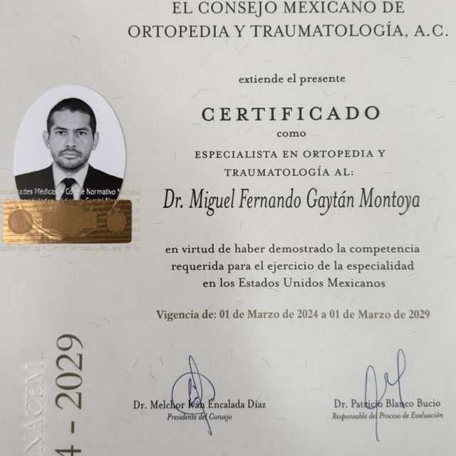 Ampliar imagen: certificate 1