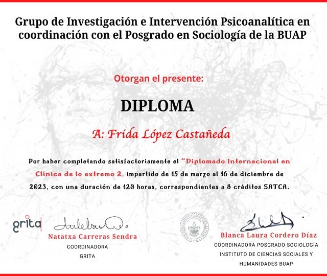 Ampliar imagen: certificate 3