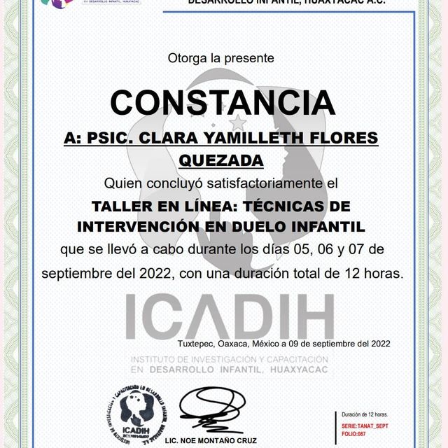 Ampliar imagen: certificate 8