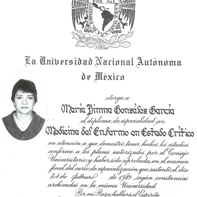 Ampliar imagen: certificate 3