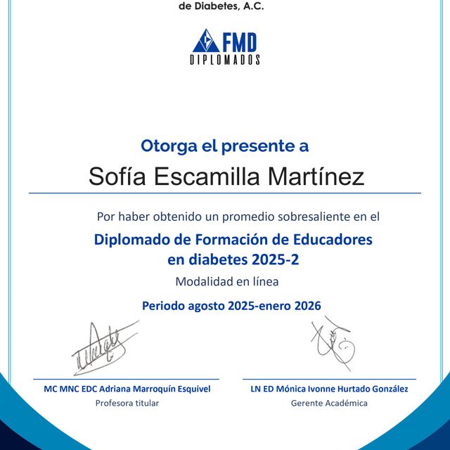 Ampliar imagen: certificate 5