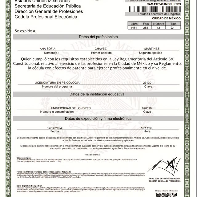 Ampliar imagen: certificate 1