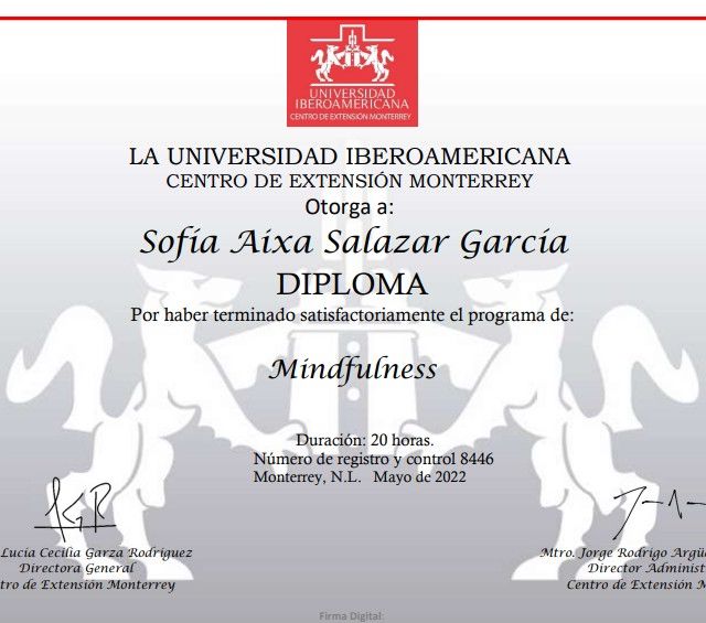 Ampliar imagen: certificate 4