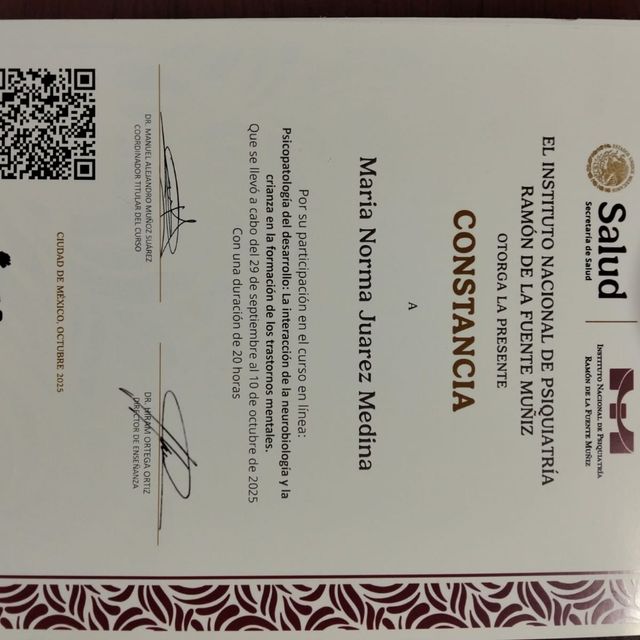 Ampliar imagen: certificate 1