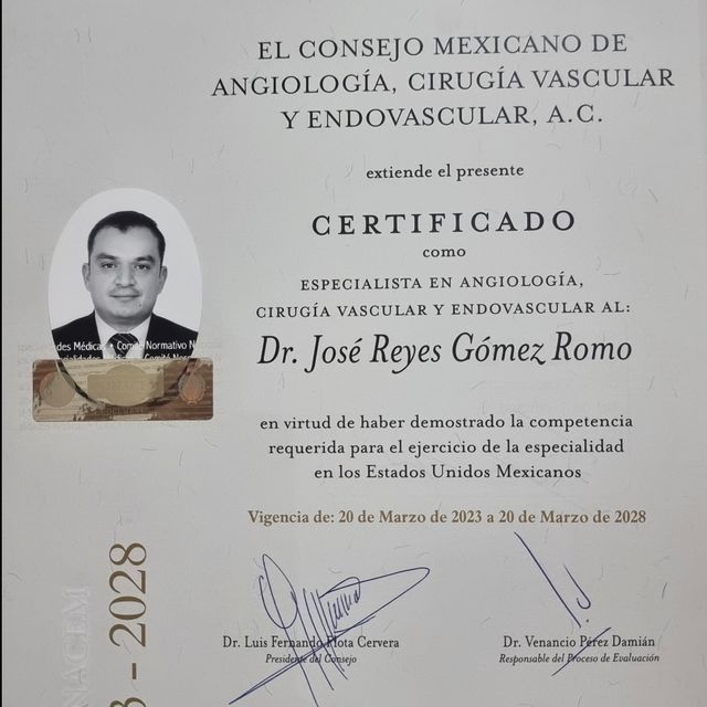 Ampliar imagen: certificate 3