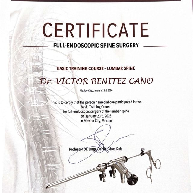 Ampliar imagen: certificate 5