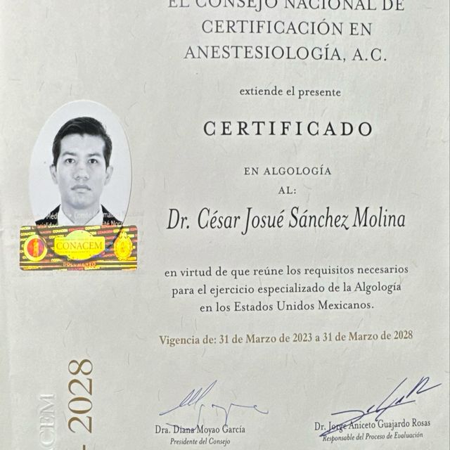 Ampliar imagen: certificate 5