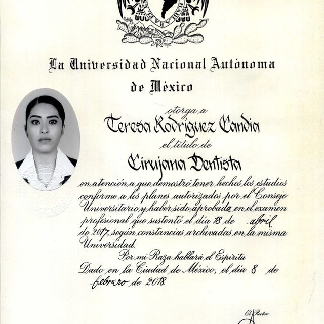 Ampliar imagen: certificate 2