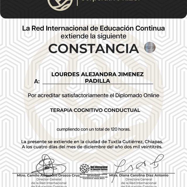 Ampliar imagen: certificate 4