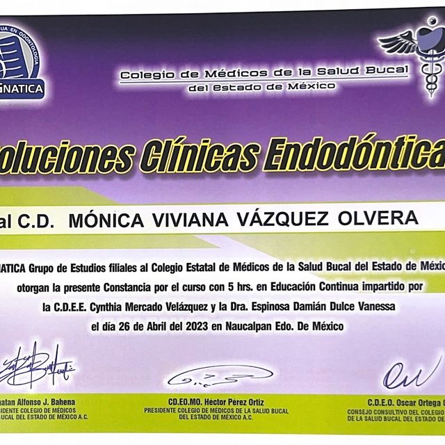 Ampliar imagen: certificate 44