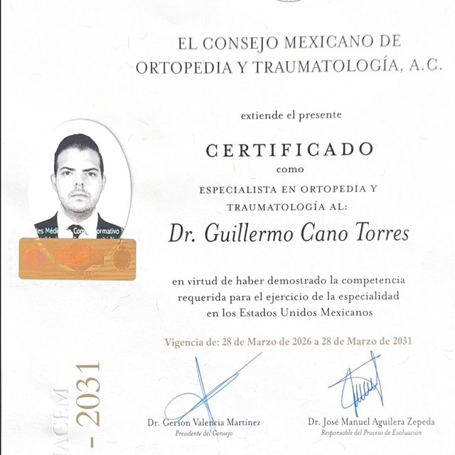 Ampliar imagen: certificate 3