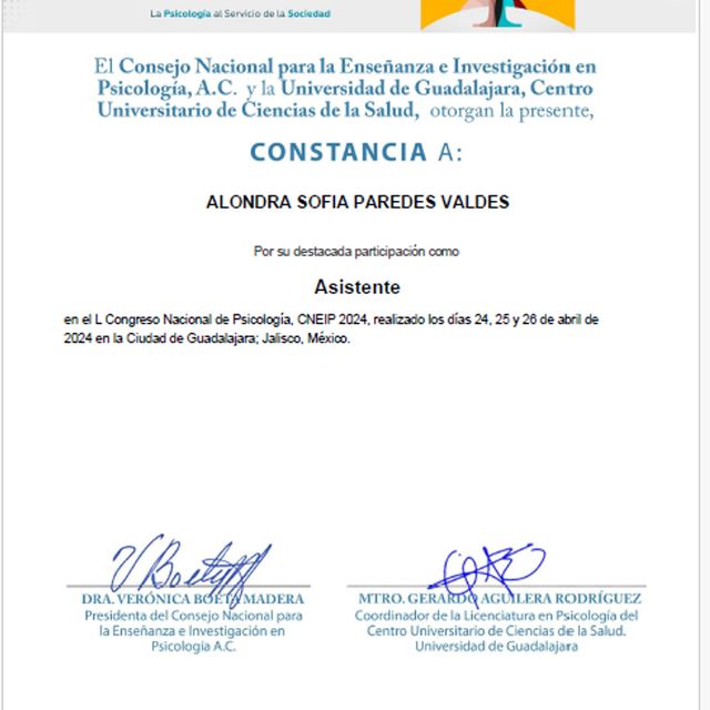 Ampliar imagen: certificate 1
