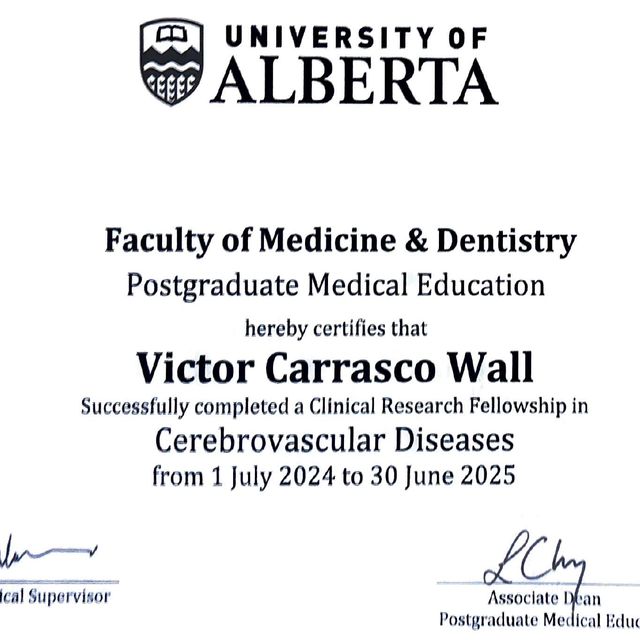 Ampliar imagen: certificate 3