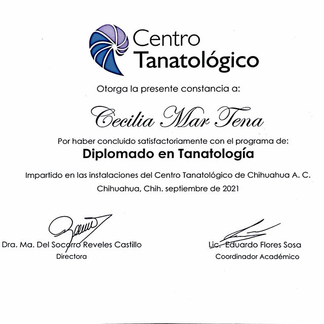 Ampliar imagen: certificate 2