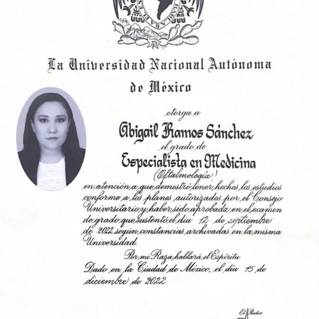 Ampliar imagen: certificate 3