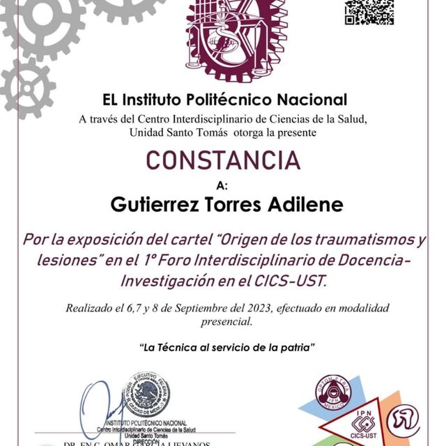 Ampliar imagen: certificate 1