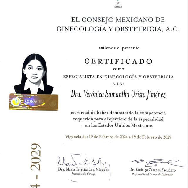 Ampliar imagen: certificate 1