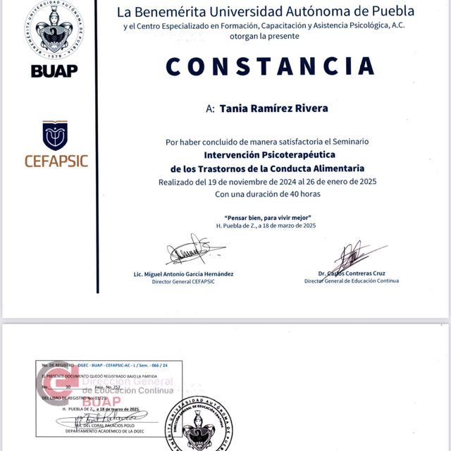 Ampliar imagen: certificate 3