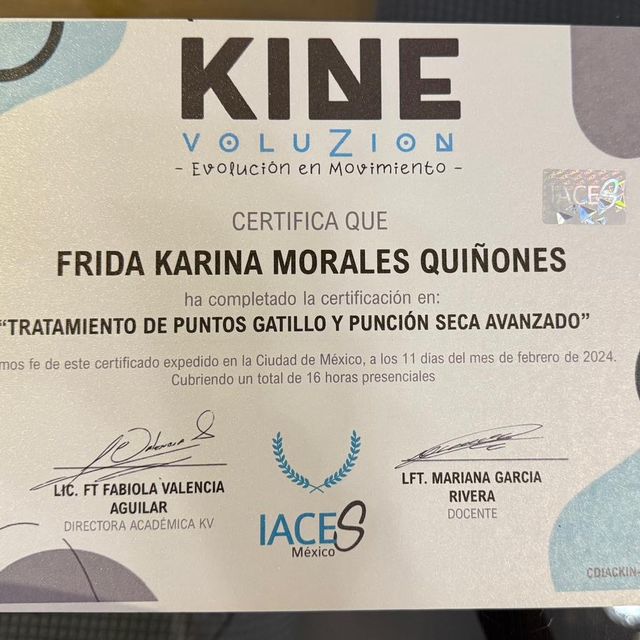 Ampliar imagen: certificate 4