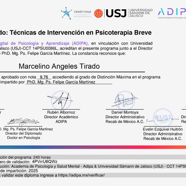 Ampliar imagen: certificate 13