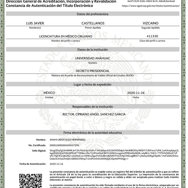 Ampliar imagen: certificate 3