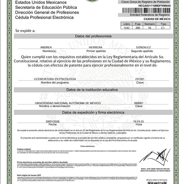 Ampliar imagen: certificate 2