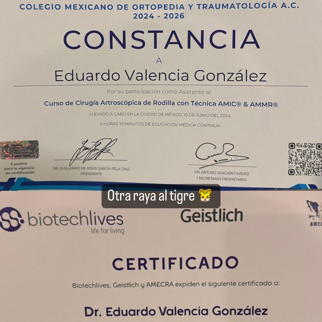 Ampliar imagen: certificate 24