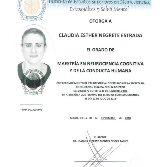 Ampliar imagen: certificate 1