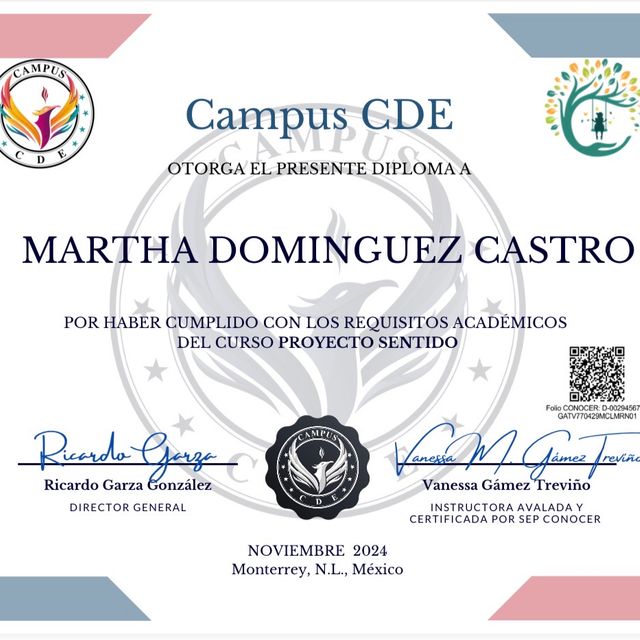 Ampliar imagen: certificate 3