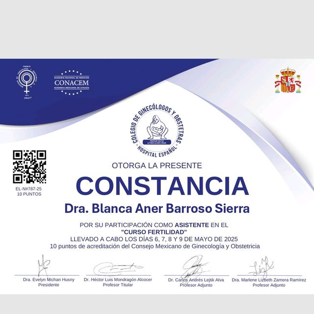 Ampliar imagen: certificate 5