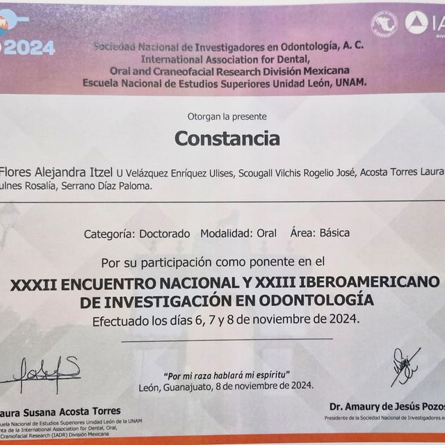 Ampliar imagen: certificate 2