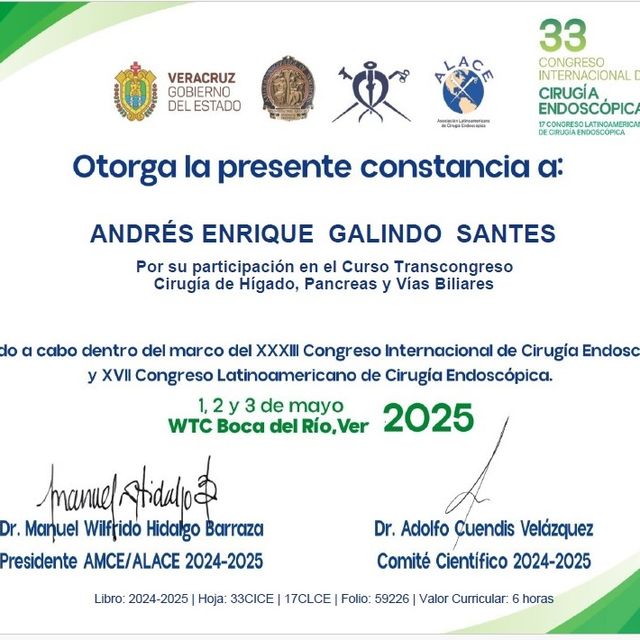 Ampliar imagen: certificate 6