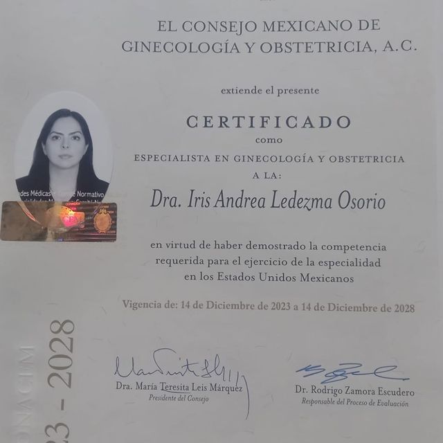 Ampliar imagen: certificate 1