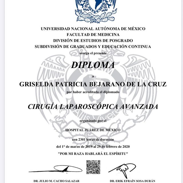 Ampliar imagen: certificate 6
