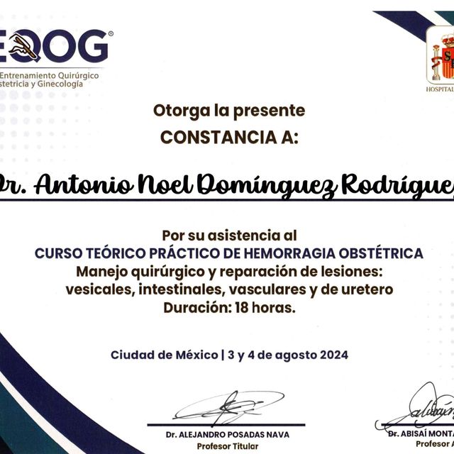 Ampliar imagen: certificate 1