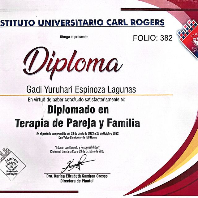 Ampliar imagen: certificate 2