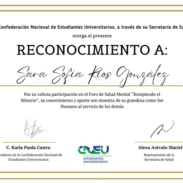 Ampliar imagen: certificate 4