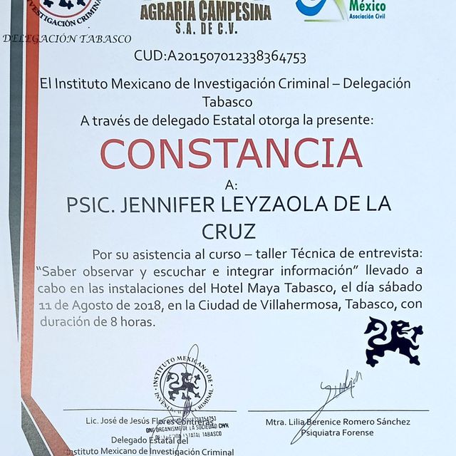 Ampliar imagen: certificate 17
