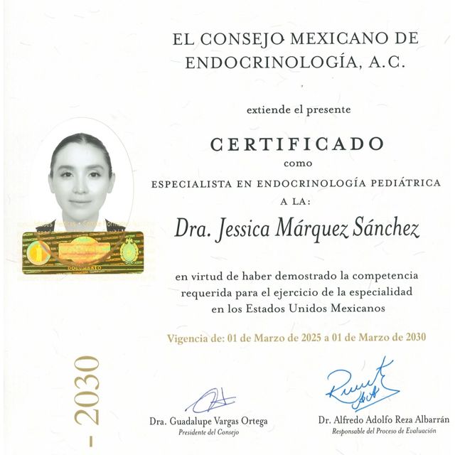 Ampliar imagen: certificate 2