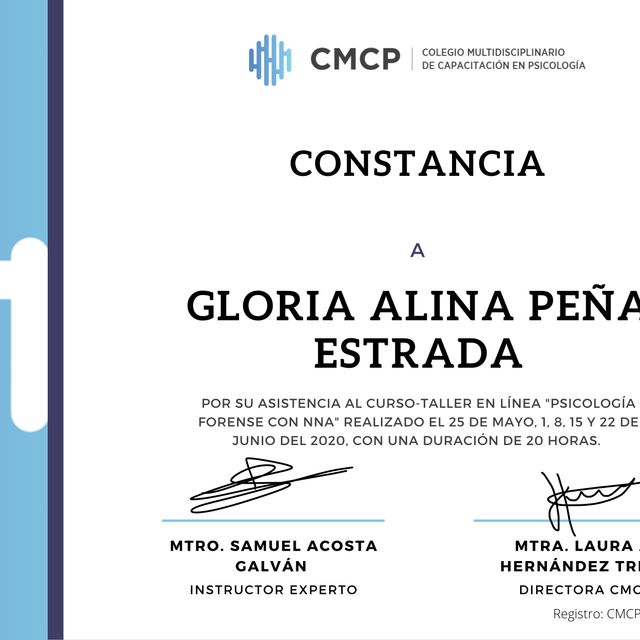Ampliar imagen: certificate 26