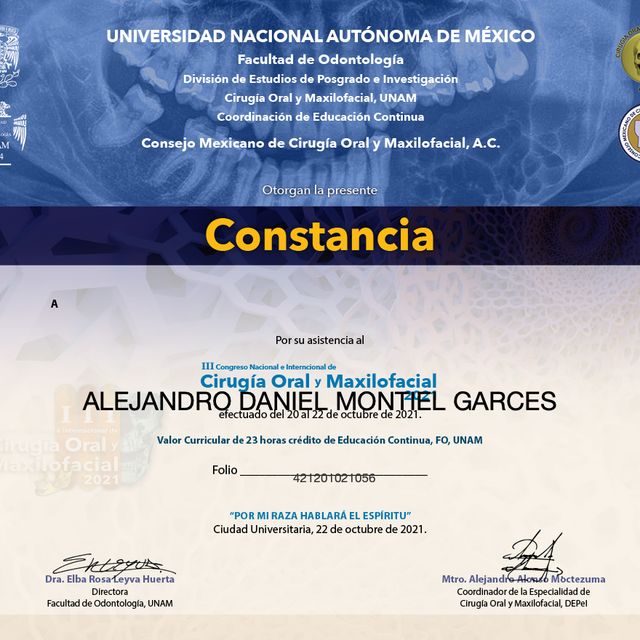 Ampliar imagen: certificate 4