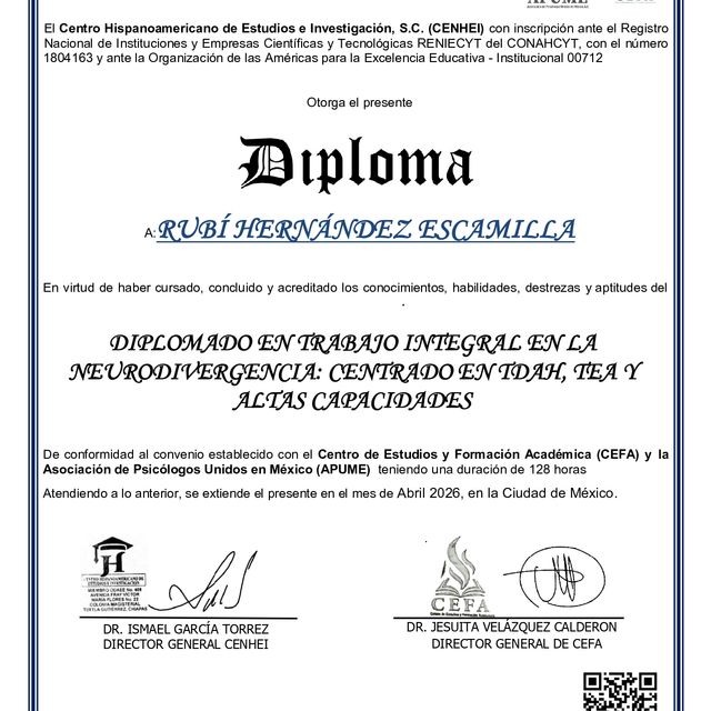 Ampliar imagen: certificate 2