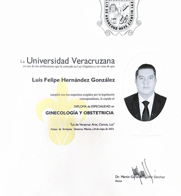 Ampliar imagen: certificate 3