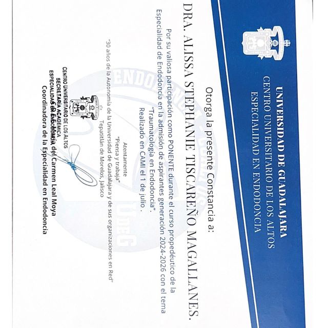Ampliar imagen: certificate 8