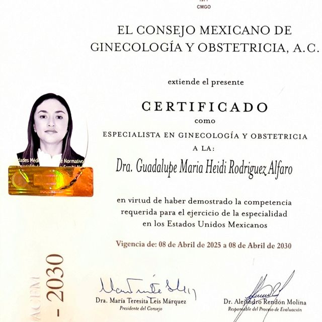 Ampliar imagen: certificate 7