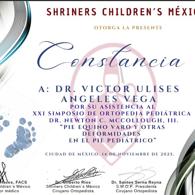 Ampliar imagen: certificate 3