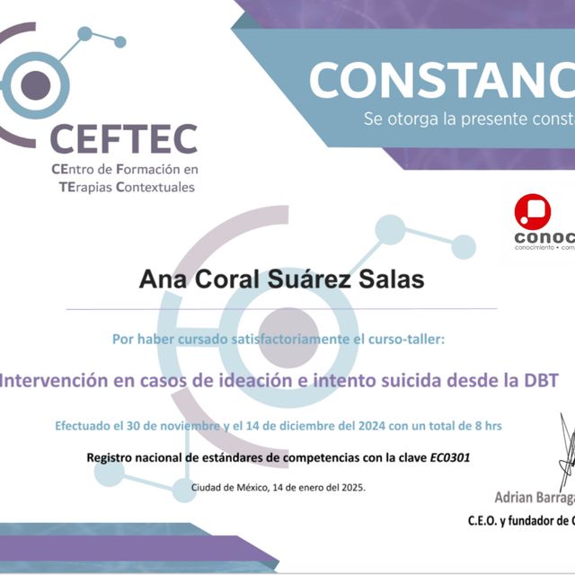 Ampliar imagen: certificate 21