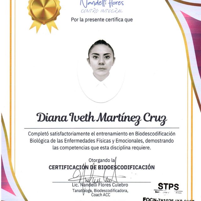 Ampliar imagen: certificate 8