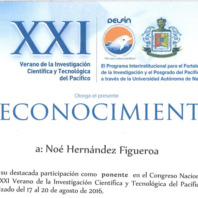 Ampliar imagen: certificate 12