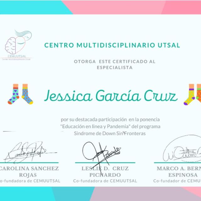 Ampliar imagen: certificate 9